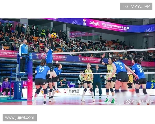 新浪体育女排联赛半决赛（女排 新浪体育）sports